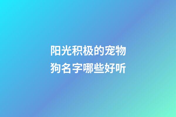 阳光积极的宠物狗名字哪些好听