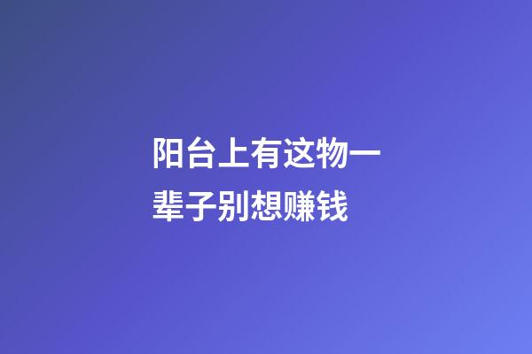 阳台上有这物一辈子别想赚钱