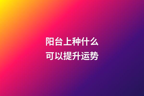 阳台上种什么可以提升运势