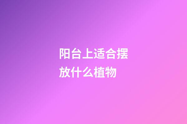 阳台上适合摆放什么植物