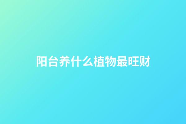 阳台养什么植物最旺财