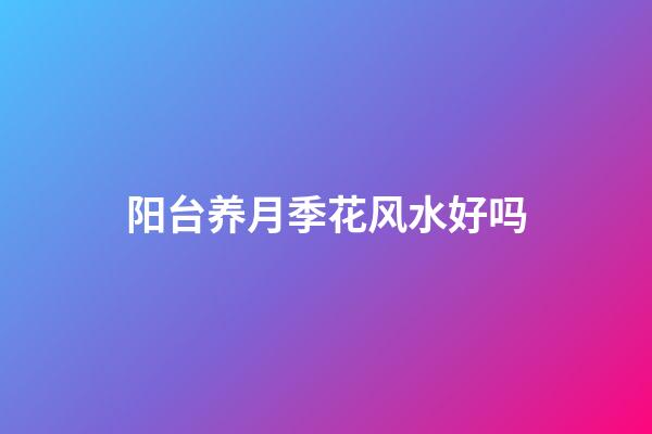 阳台养月季花风水好吗