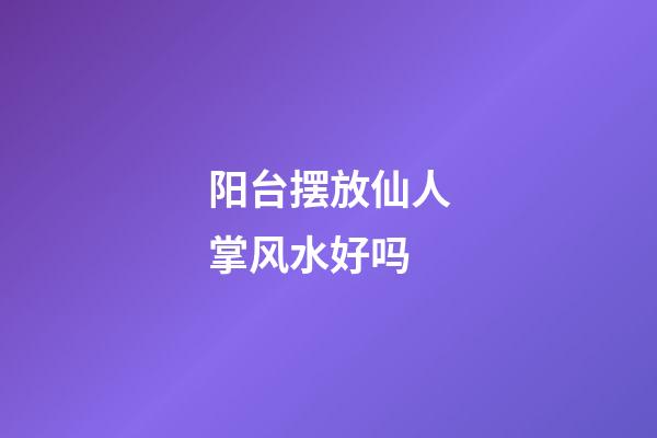 阳台摆放仙人掌风水好吗