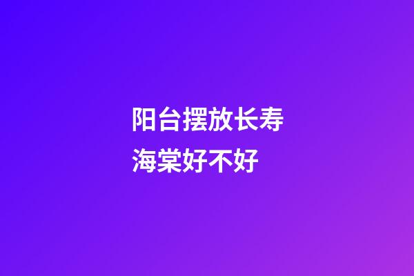 阳台摆放长寿海棠好不好