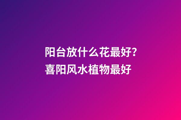 阳台放什么花最好？喜阳风水植物最好