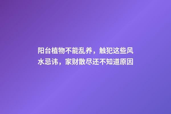 阳台植物不能乱养，触犯这些风水忌讳，家财散尽还不知道原因