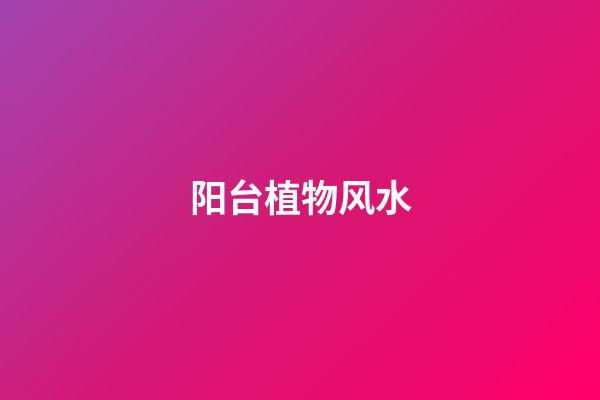阳台植物风水