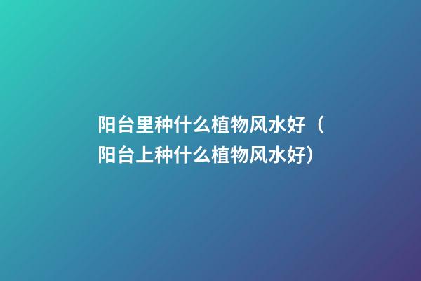 阳台里种什么植物风水好（阳台上种什么植物风水好）