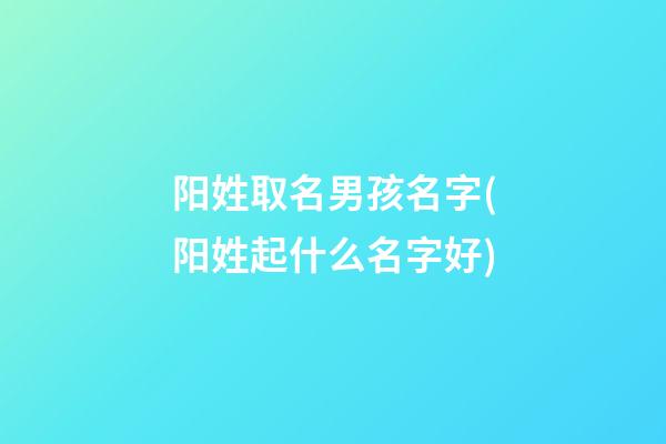 阳姓取名男孩名字(阳姓起什么名字好)
