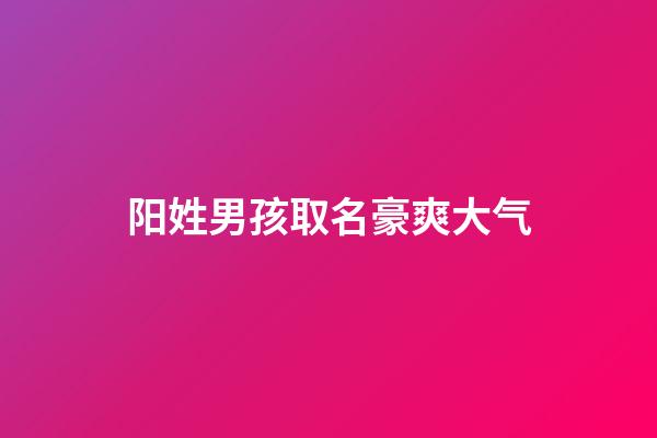 阳姓男孩取名豪爽大气