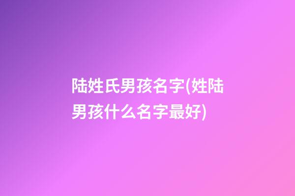 陆姓氏男孩名字(姓陆男孩什么名字最好)