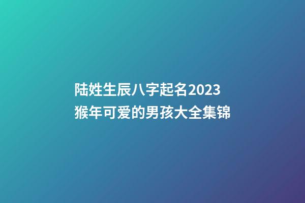 陆姓生辰八字起名2023猴年可爱的男孩大全集锦