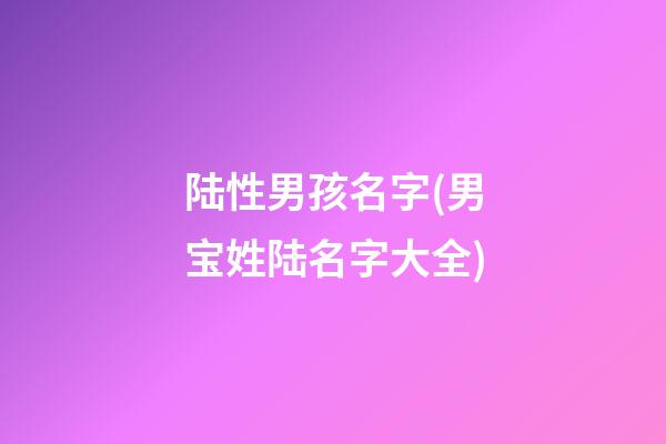 陆性男孩名字(男宝姓陆名字大全)