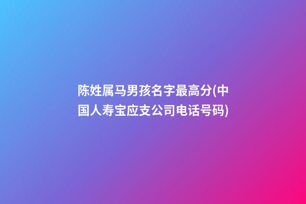 陈姓属马男孩名字最高分(中国人寿宝应支公司电话号码)