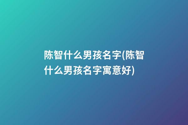 陈智什么男孩名字(陈智什么男孩名字寓意好)