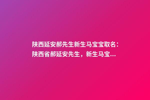 陕西延安郝先生新生马宝宝取名：陕西省郝延安先生，新生马宝宝姓名-第1张-公司起名-玄机派