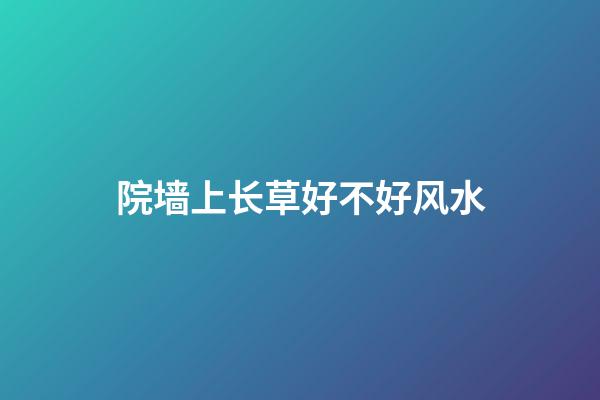 院墙上长草好不好风水