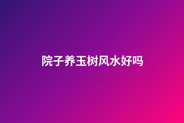 院子养玉树风水好吗