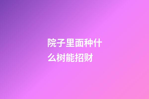 院子里面种什么树能招财