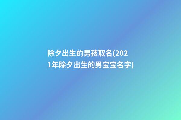 除夕出生的男孩取名(2021年除夕出生的男宝宝名字)