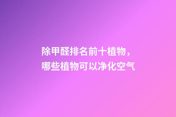除甲醛排名前十植物，哪些植物可以净化空气