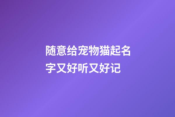 随意给宠物猫起名字又好听又好记