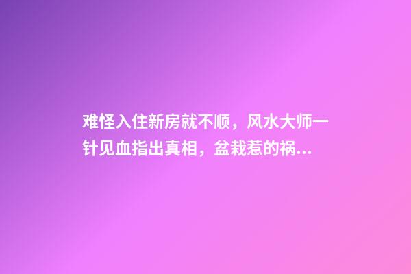 难怪入住新房就不顺，风水大师一针见血指出真相，盆栽惹的祸！