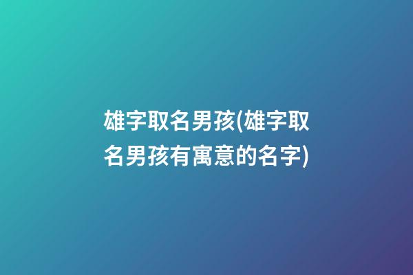 雄字取名男孩(雄字取名男孩有寓意的名字)