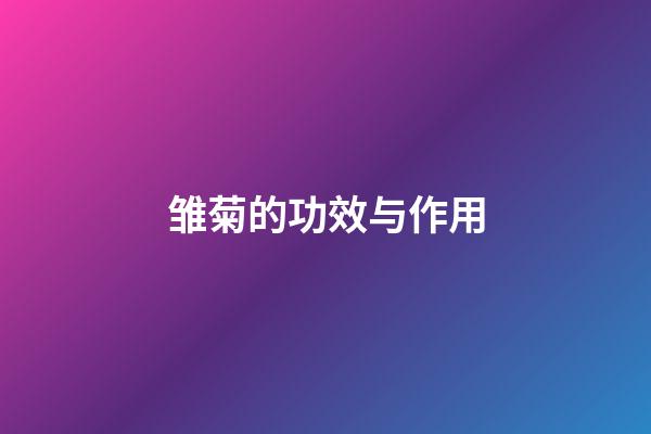 雏菊的功效与作用