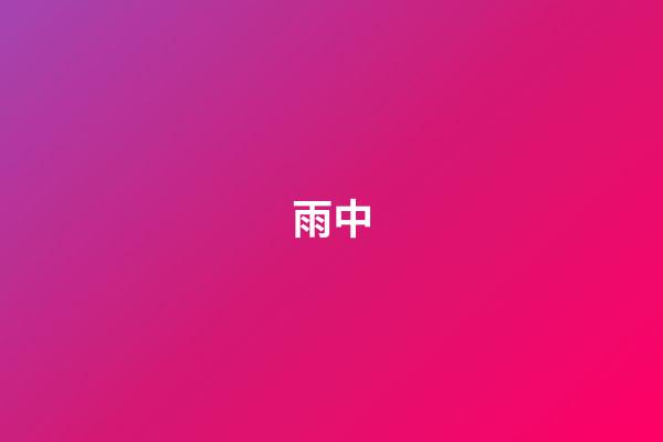 雨中