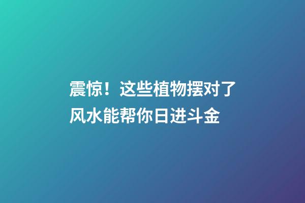 震惊！这些植物摆对了风水能帮你日进斗金