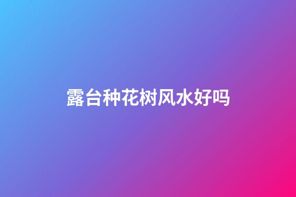 露台种花树风水好吗