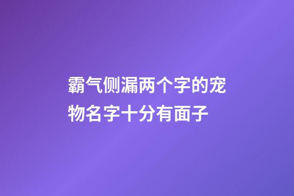 霸气侧漏两个字的宠物名字十分有面子
