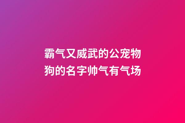 霸气又威武的公宠物狗的名字帅气有气场