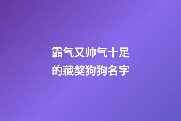 霸气又帅气十足的藏獒狗狗名字