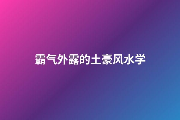 霸气外露的土豪风水学
