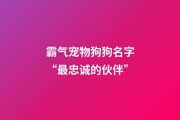 霸气宠物狗狗名字“最忠诚的伙伴”
