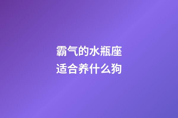 霸气的水瓶座适合养什么狗-第1张-星座运势-玄机派
