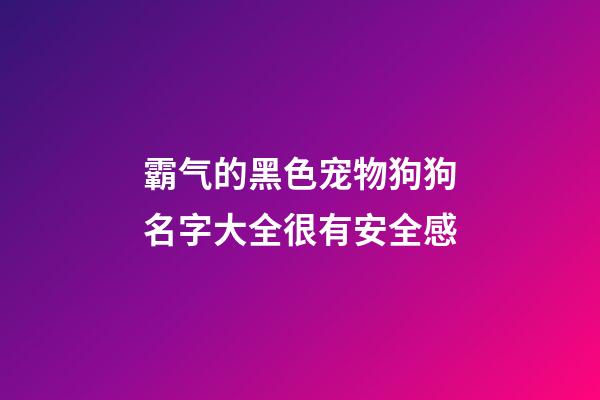 霸气的黑色宠物狗狗名字大全很有安全感