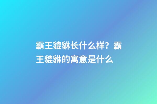 霸王貔貅长什么样？霸王貔貅的寓意是什么