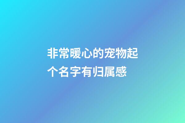 非常暖心的宠物起个名字有归属感