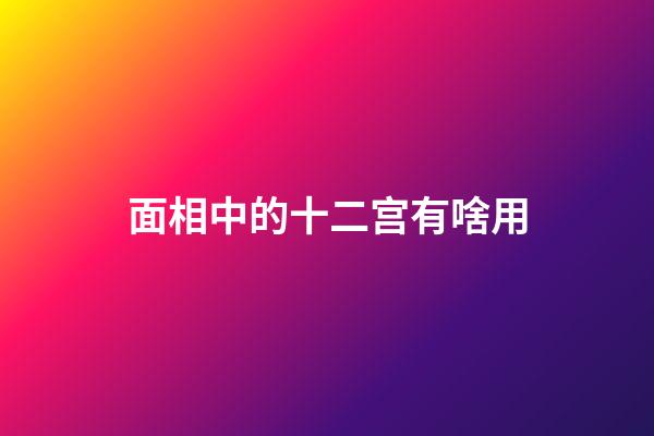 面相中的十二宫有啥用