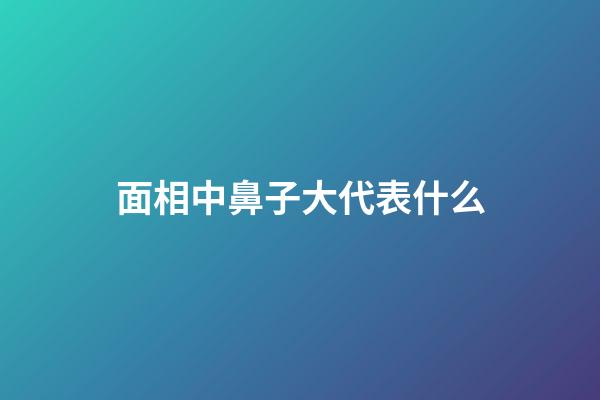 面相中鼻子大代表什么