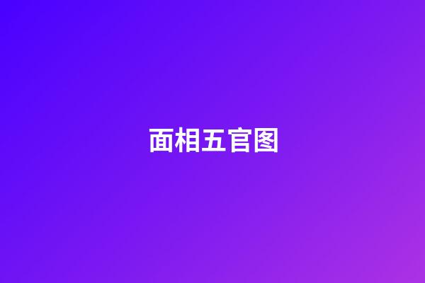 面相五官图