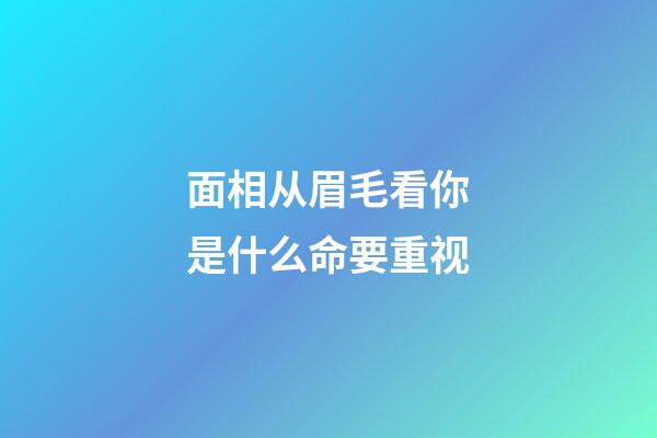 面相从眉毛看你是什么命要重视