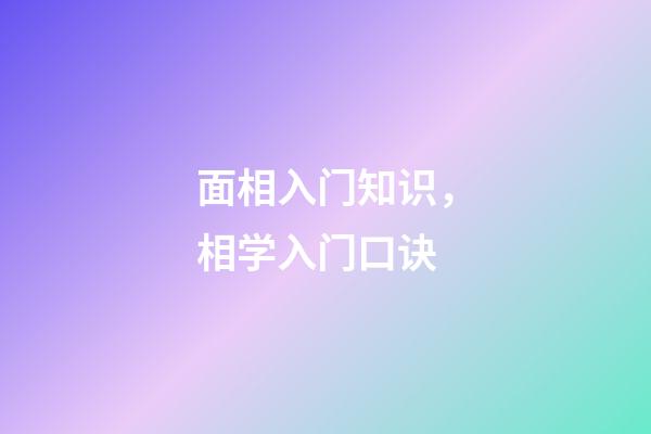 面相入门知识，相学入门口诀