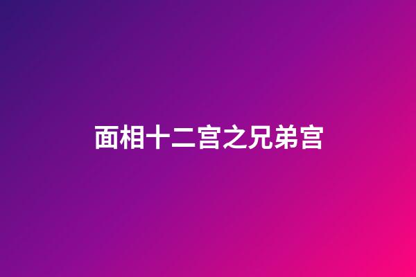 面相十二宫之兄弟宫