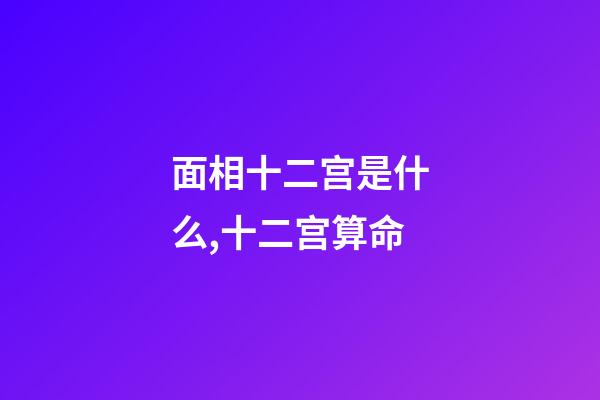 面相十二宫是什么,十二宫算命