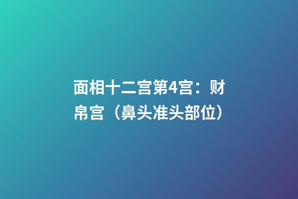 面相十二宫第4宫：财帛宫（鼻头准头部位）