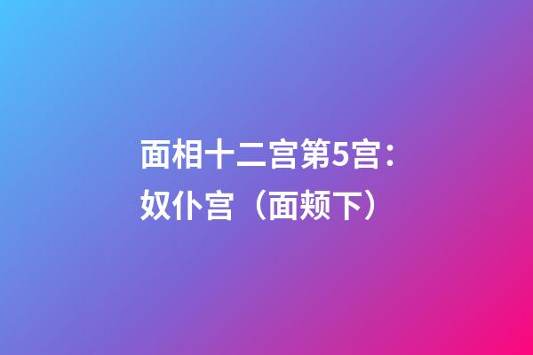 面相十二宫第5宫：奴仆宫（面颊下）
